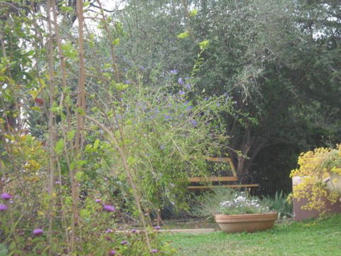 Amalie Cottage Waikerie Unit 1 - Redcliffe Tourism 5