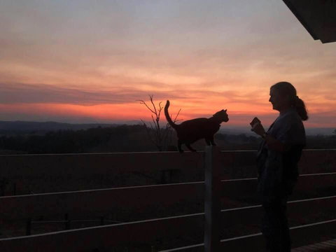 Farringdon Homestead - Redcliffe Tourism 6