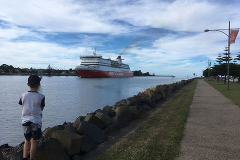 Tiny Tom - Redcliffe Tourism 2
