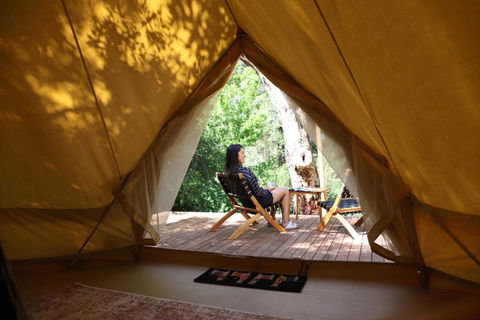 Castlemaine Gardens Luxury Glamping - Redcliffe Tourism 6