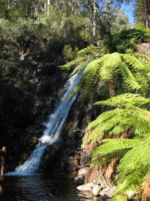 RiverCottage Selfcontained - Redcliffe Tourism 2
