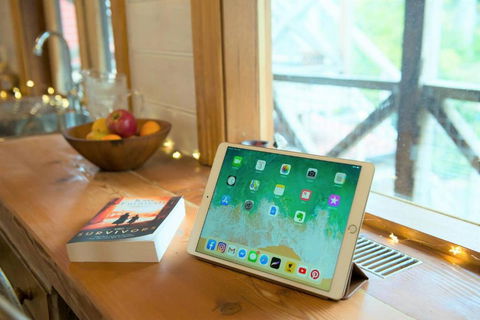 Adelaide Hills Camellia Cottage WiFi - Redcliffe Tourism 4