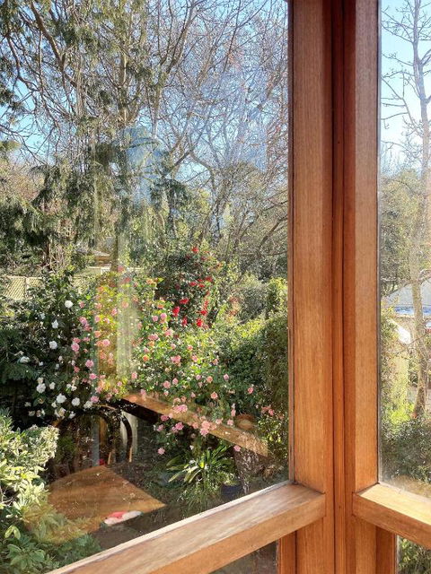 Adelaide Hills Camellia Cottage WiFi - Redcliffe Tourism 6