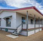 Desert Pea - Redcliffe Tourism