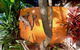 Driftwood Villa - thumb 4