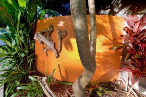 Driftwood Villa - Redcliffe Tourism 4