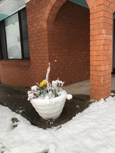 Ecoangelus - Redcliffe Tourism 4