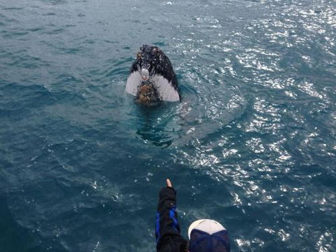 Number 72 Kalbarri Beach Resort - Redcliffe Tourism 0