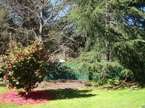 Ageri Holiday House - Redcliffe Tourism 3
