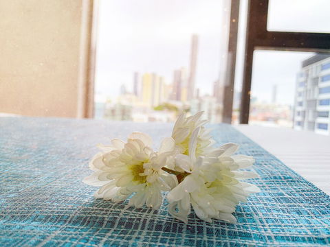 Apartments On Connor - Redcliffe Tourism 5