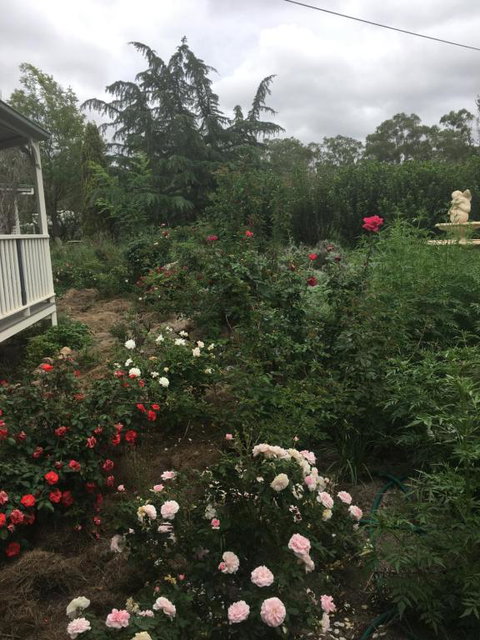 Saboâ€™s On Severn - Redcliffe Tourism 3