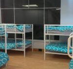 Wombat Backpackers - Redcliffe Tourism
