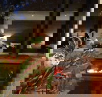 Hidden Valley Forest Retreat - Redcliffe Tourism