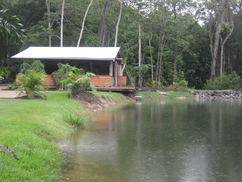 Rainforest Ranch - Redcliffe Tourism 0