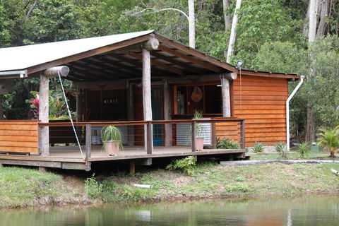 Rainforest Ranch - Redcliffe Tourism 2