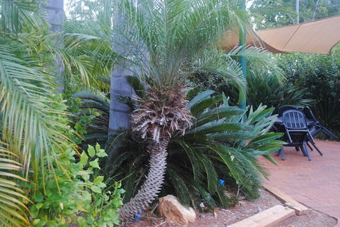 Kingaroy Holiday Park - Redcliffe Tourism 1