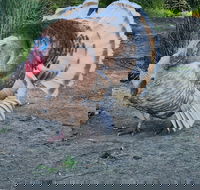 Halls Haven Holiday Units