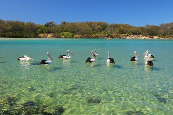 Pacific Royale Penthouse 311 - Redcliffe Tourism 4