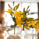 KUI Manhattan Apartments - Redcliffe Tourism 0