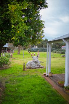 Davidsons Cottage - Redcliffe Tourism 5