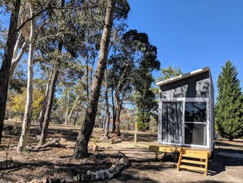 Big Tiny The Whispers - Redcliffe Tourism 2