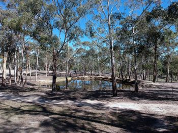 Big Tiny The Whispers - Redcliffe Tourism 3