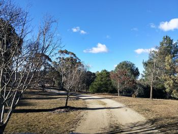 Big Tiny The Whispers - Redcliffe Tourism 5