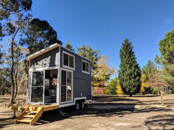 Big Tiny The Whispers - Redcliffe Tourism 4