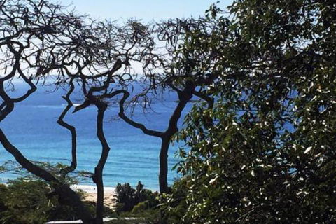 At Cylinder Unit 3 - Redcliffe Tourism 5