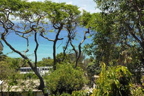 At Cylinder Unit 3 - Redcliffe Tourism 6