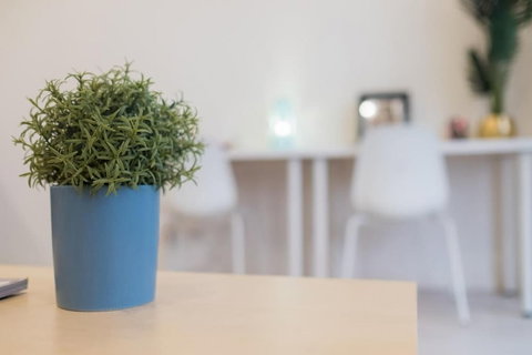 Willis Wolli Crk 35 - Redcliffe Tourism 3