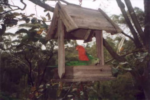 Arcadia Cottage - Redcliffe Tourism 2
