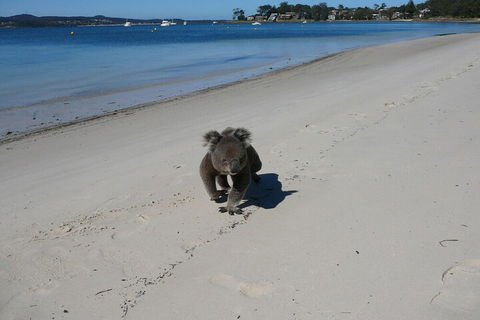 The Mitchells Waterfront Bed & Breakfast - Redcliffe Tourism 7