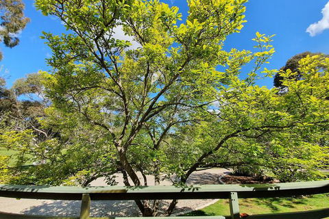 Annies Holiday Units - Redcliffe Tourism 2