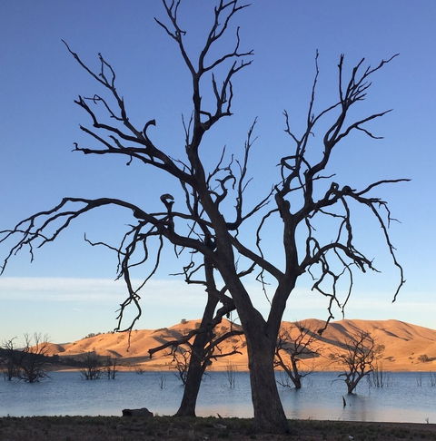 Burnt Creek Cottages Mansfield - Redcliffe Tourism 2