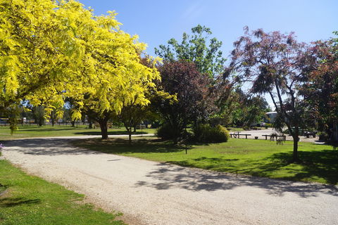 All Seasons Mansfield - Redcliffe Tourism 5