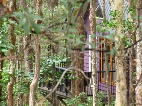 Amytis Gardens Retreat & Day Spa - Redcliffe Tourism 1