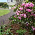 Anabels Of Scottsdale - Redcliffe Tourism 0