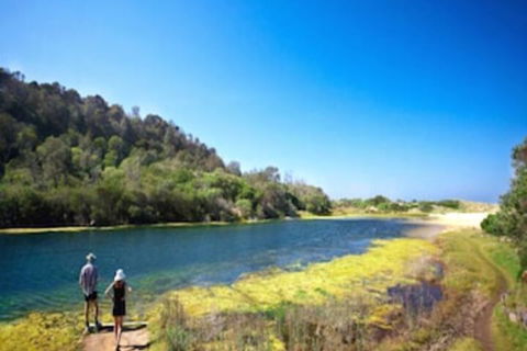 Paradise Holiday Apartments - Redcliffe Tourism 6