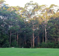 Tinglewood Cabins - Redcliffe Tourism