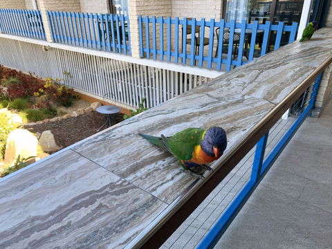 Mariners On The Waterfront - Redcliffe Tourism 5