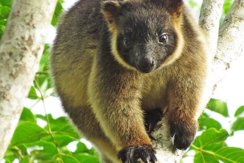 Mt Quincan Crater Retreat - Redcliffe Tourism 2