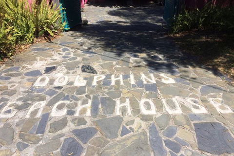 Dolphins Beach House - Redcliffe Tourism 1