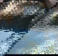 Town  Country Motel - Redcliffe Tourism