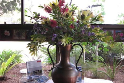 Lakes Waterfront Motel & Holiday Cottages - Redcliffe Tourism 3