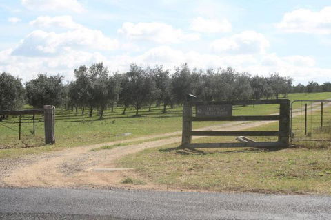 Trefolly Olive Cottage - Redcliffe Tourism 2