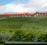 Turners Vineyard Motel and Function Centre - Redcliffe Tourism