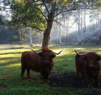 Dingley Dell - Redcliffe Tourism