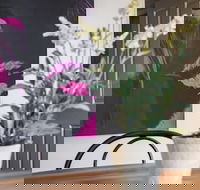 Birdie - Redcliffe Tourism