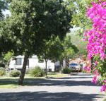 BIG 4 Hay - Redcliffe Tourism